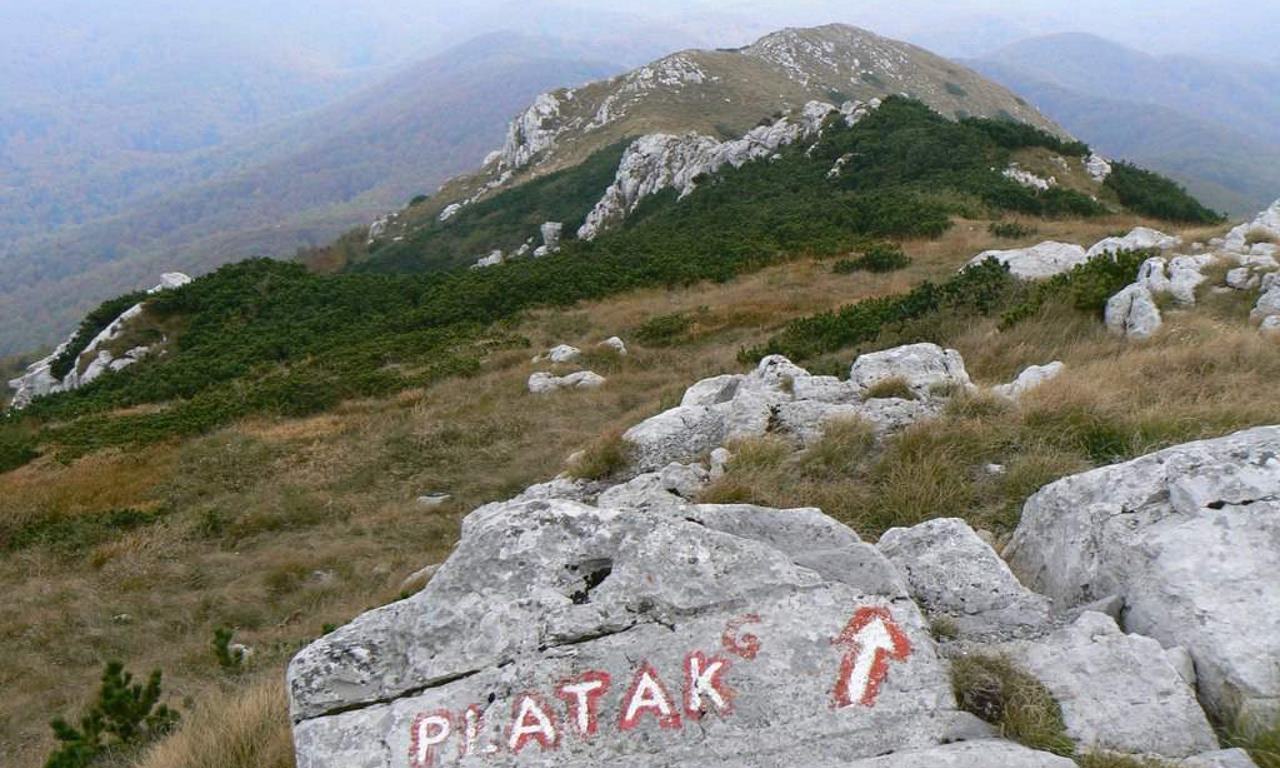 Veliki Dom Platak